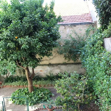 Amazing With Terrace Apartamento *